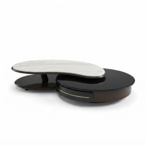 The Eclipse Nest Coffee Table